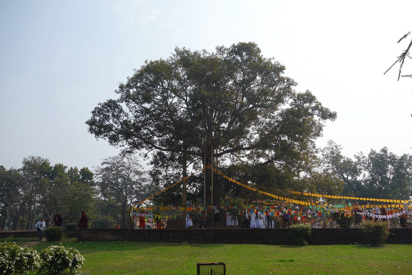 舍衛國-祇樹給孤獨園 Jetavana Vihara